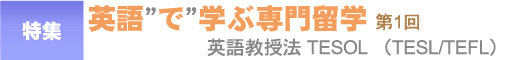 TESOL（TESL/TEFL）